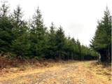 76781 Palm Hill Rd - Photo 4