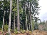 76781 Palm Hill Rd - Photo 8