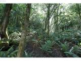 00 Stian Smith Rd - Photo 10