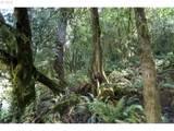 00 Stian Smith Rd - Photo 11
