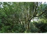 00 Stian Smith Rd - Photo 13