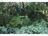 00 Stian Smith Rd - Photo 14