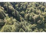 00 Stian Smith Rd - Photo 18