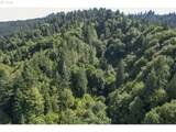 00 Stian Smith Rd - Photo 4