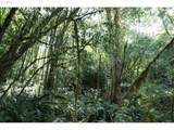 00 Stian Smith Rd - Photo 7