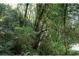 00 Stian Smith Rd - Photo 9