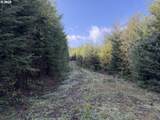 0 Necanicum Hwy - Photo 3
