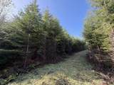 0 Necanicum Hwy - Photo 4
