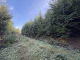 0 Necanicum Hwy - Photo 5