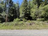  Timber Lane - Photo 1
