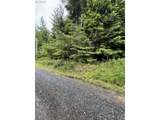  Timber Lane - Photo 5