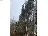 00 Elderberry Dr - Photo 13