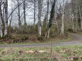 00 Elderberry Dr - Photo 9