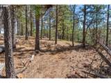 115 Wahkiacus Heights Rd - Photo 43