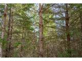 0 Bellinger Rd - Photo 10
