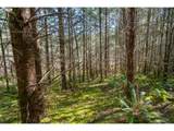 0 Bellinger Rd - Photo 11