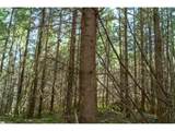 0 Bellinger Rd - Photo 13