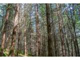 0 Bellinger Rd - Photo 15