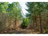 0 Bellinger Rd - Photo 17
