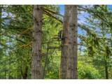 3832 Cavitt Rd - Photo 34