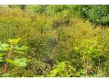 3832 Cavitt Rd - Photo 42