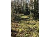  Hawkins Rd - Photo 21