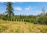 980 Holly Ave - Photo 4