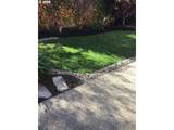 7798 Alder St - Photo 39