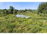 16653 Paddington Dr - Photo 48