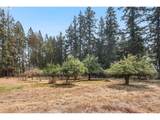 6890 Canyon St - Photo 32