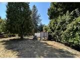 4905 166TH Ave - Photo 10