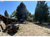 4905 166TH Ave - Photo 7