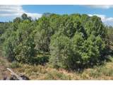 922 175TH Way - Photo 43