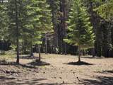 19 Elk Haven - Photo 14