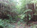  State Route 101 - Photo 11
