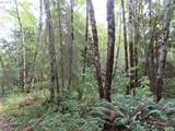 State Route 101 - Photo 17