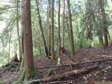  State Route 101 - Photo 20