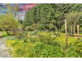 31100 Harris Rd - Photo 39