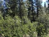  Margi Way - Photo 8