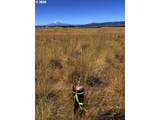  Erickson Rd - Photo 12