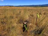  Erickson Rd - Photo 13