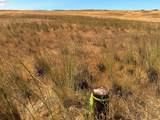  Erickson Rd - Photo 14