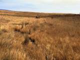  Erickson Rd - Photo 15