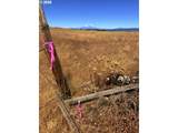  Erickson Rd - Photo 17
