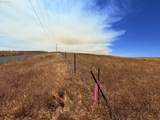  Erickson Rd - Photo 5
