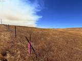  Erickson Rd - Photo 6