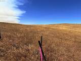  Erickson Rd - Photo 7