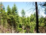 000 Kings Valley Hwy - Photo 5