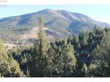  0 Cougar Ridge Road - Photo 2