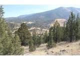 0 Cougar Ridge Road - Photo 6